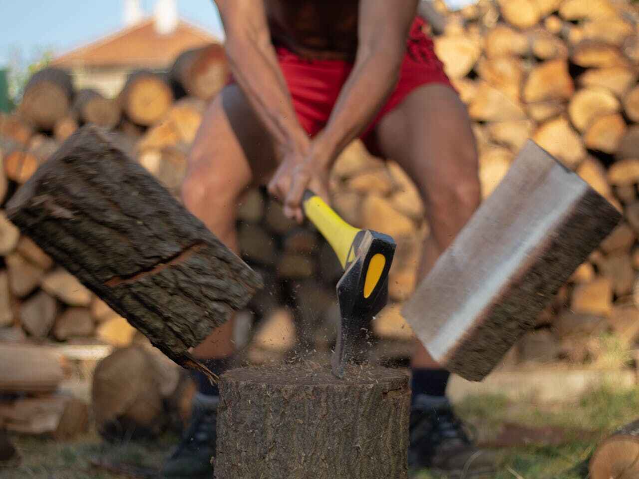 Tree Removal for Businesses in Gunbarrel, CO